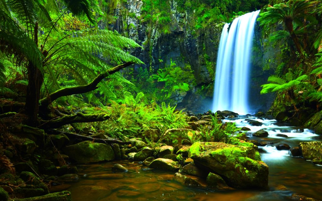 73 Million Trees Are Getting Planted To Bring Back Brazil’s Tropical